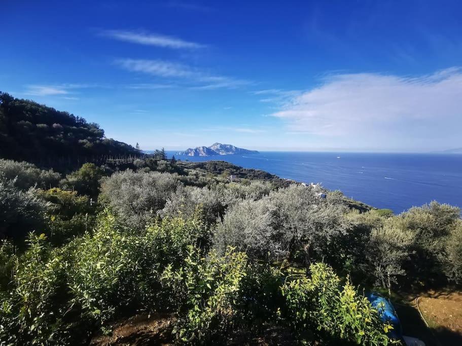 Villa Capri Wonderful View Massa Lubrense Buitenkant foto