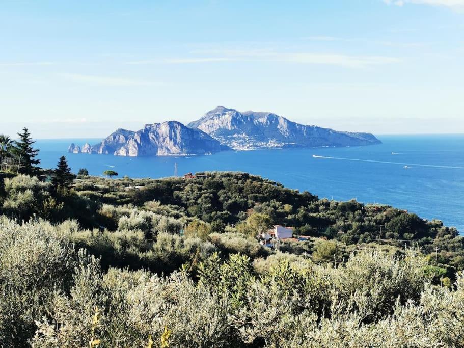 Villa Capri Wonderful View Massa Lubrense Buitenkant foto